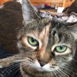 Meet your Posher, Darin